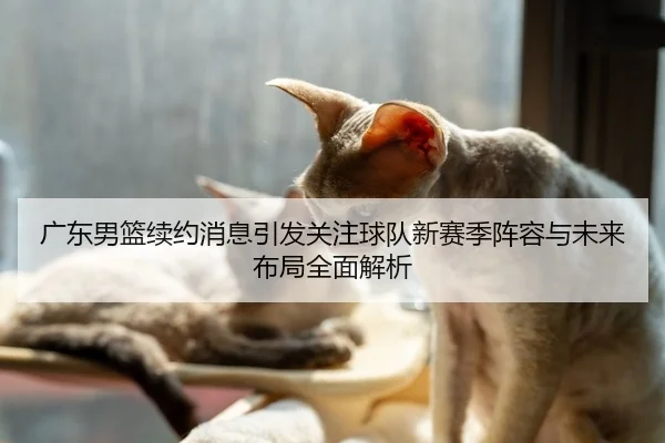 广东男篮续约消息引发关注球队新赛季阵容与未来布局全面解析